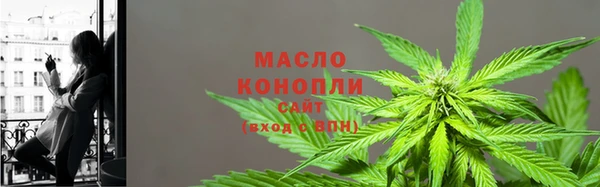 соль ск Надым