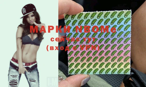 соль ск Надым