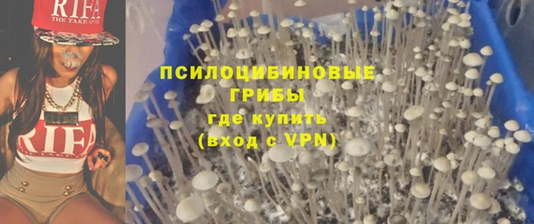 стаф Наволоки