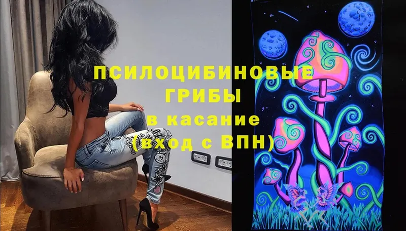 Псилоцибиновые грибы Psilocybe  Комсомольск 